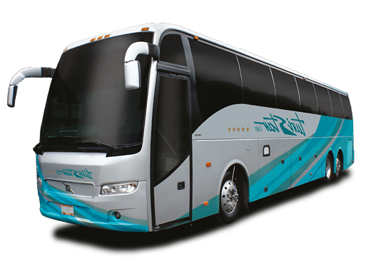 BUSES